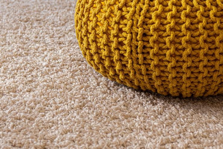 Dirt Clinic Carpet Cleaning